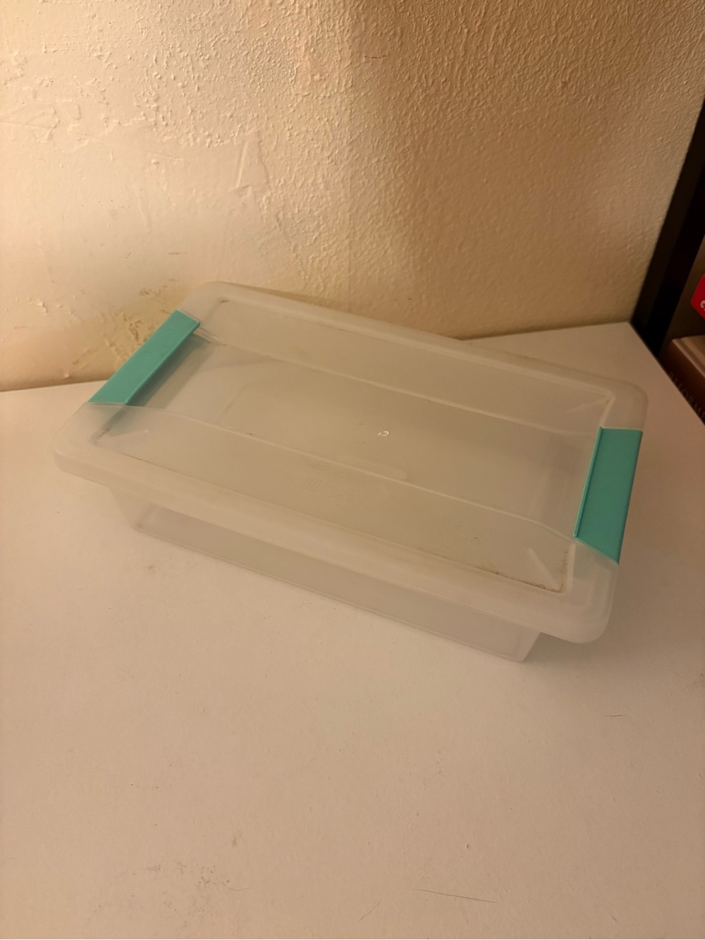 Clear Plastic Storage Bin with Mint Latches
